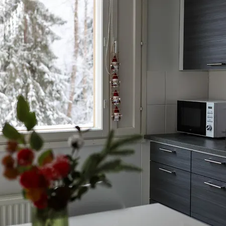 Apartament Kalle's House *